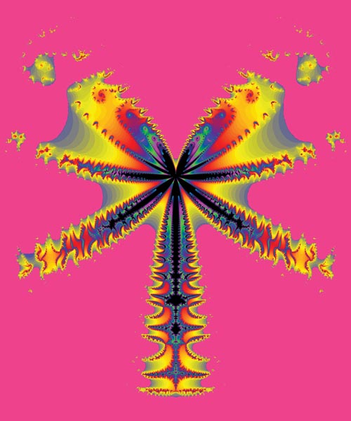 Fractal dragonfly image
