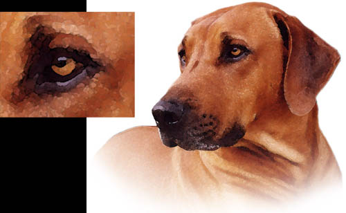 Watercolor image
