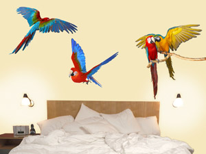 Wall cutout image