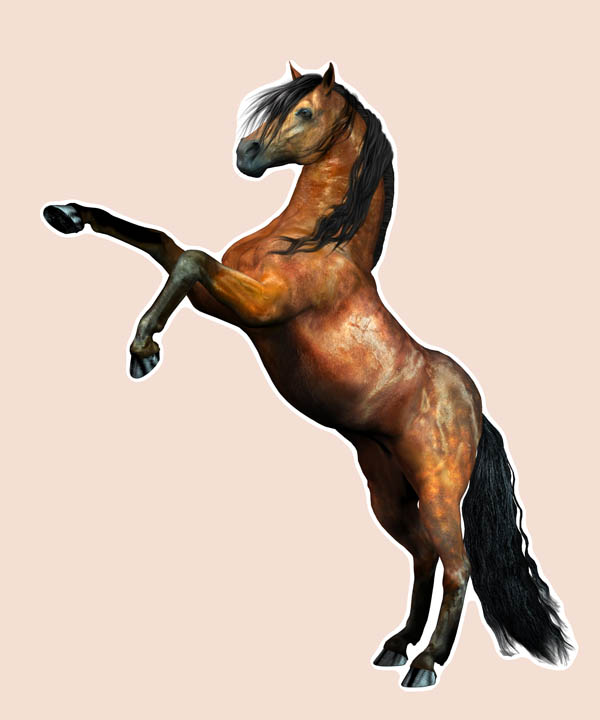 Horse image