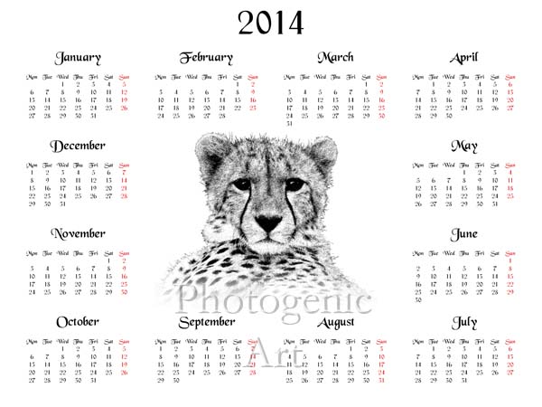 2014 calendar